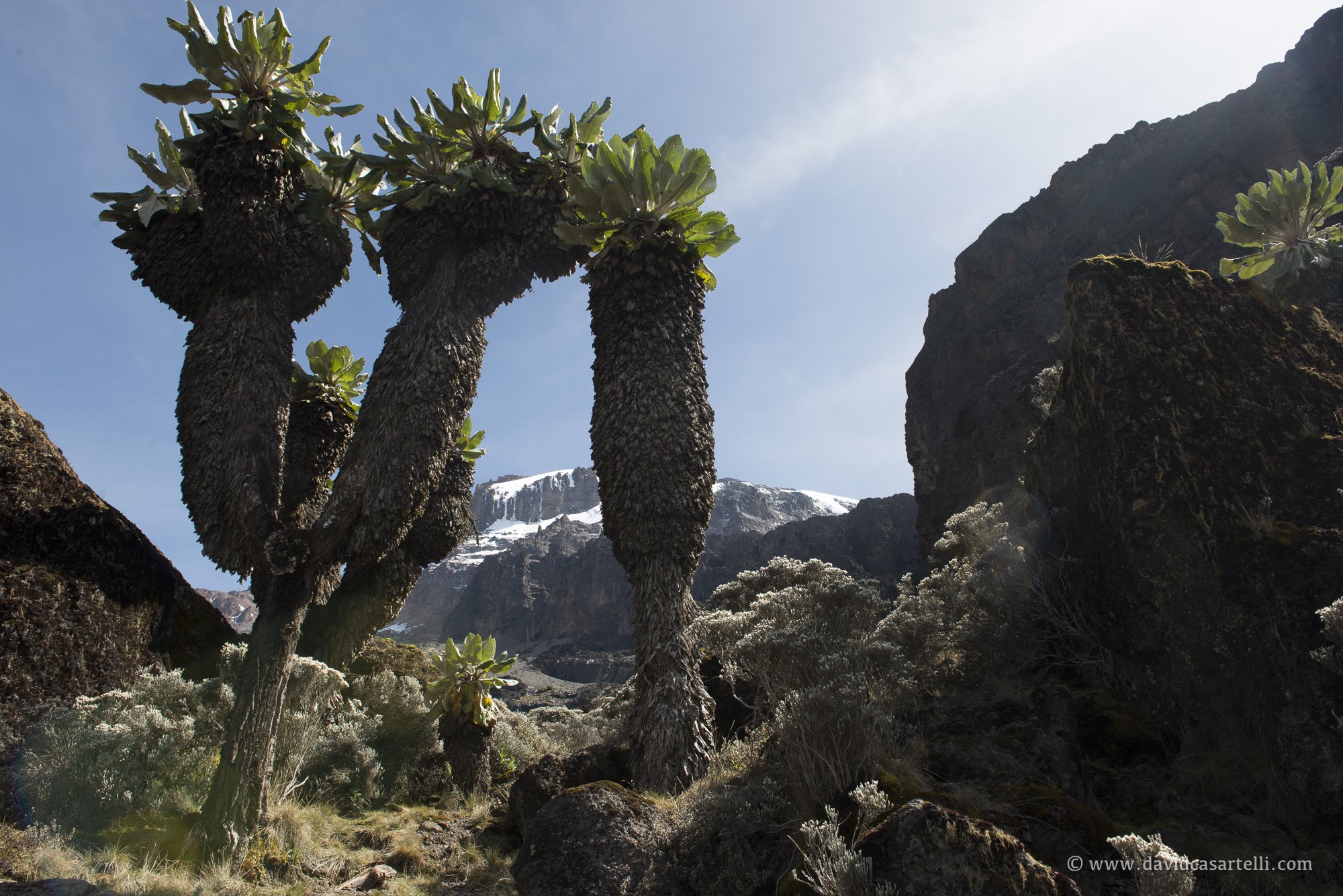 Image Slider No: 2 Kilimanjaro Routes - Which one is Best Kilimanjaro Route?