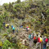 Thumb Nail Image: 2 18 Quick tips for Climbing Mount Kilimanjaro