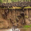 Thumb Nail Image: 3 Witnessing the Spectacle: The Best Time to See the Great Wildebeest Migration in Tanzania