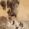 Thumb Nail Image: 3 Witnessing the Spectacle of a Lifetime: The Serengeti Wildebeest Migration