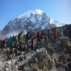 Thumb Nail Image: 6 Summit Serenity: Embark on the Adventure of a Lifetime with Lindo Travel & Tours' Kilimanjaro Events 2024