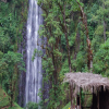 Thumb Nail Image: 1 Exploring the Majestic Beauty of Materuni Waterfalls: A Tanzanian Gem