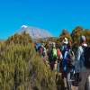 Thumb Nail Image: 4 18 Quick tips for Climbing Mount Kilimanjaro