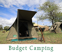 Image 1 show Possible Accommodation For 2 Days Tanzania Camping Safari