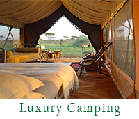 Image 2 show Possible Accommodation For 2 Days Tanzania Camping Safari