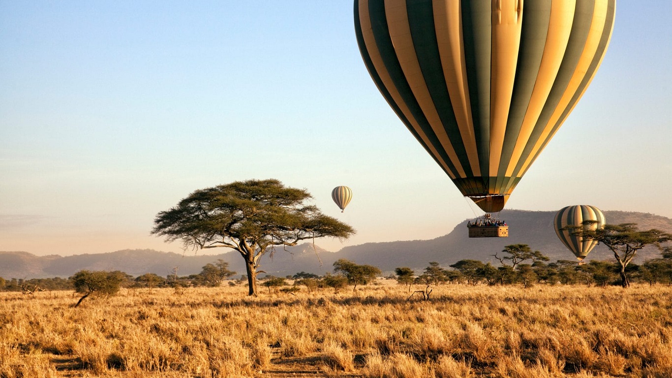 Tanzania Safari Experinces