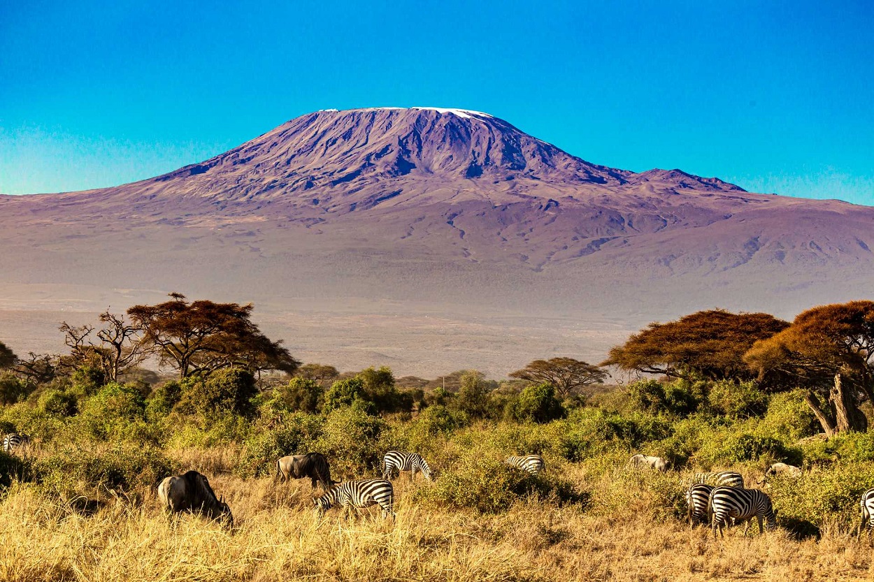 Kilimanjaro Climbing