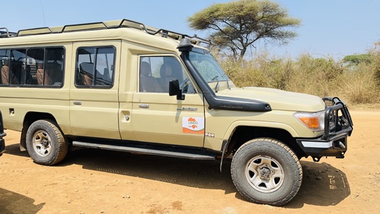 Safari Packages