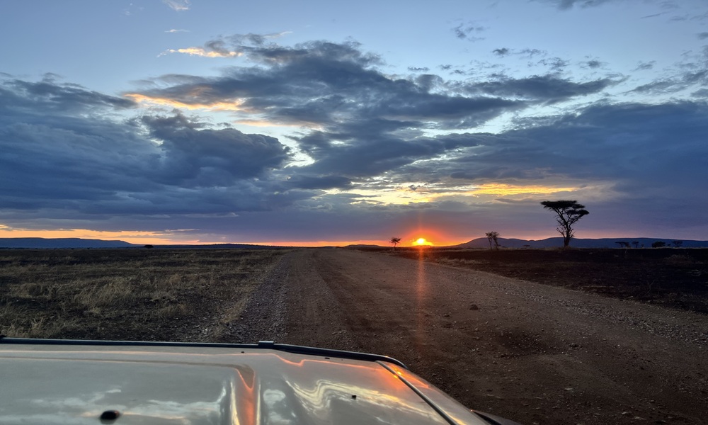Sunset-image at Serengeti National Park