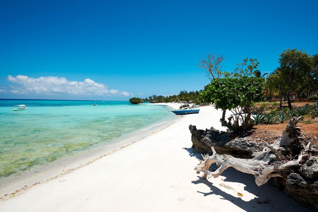 SlideShow Image Number 2 all for Tanzania Safaris images.