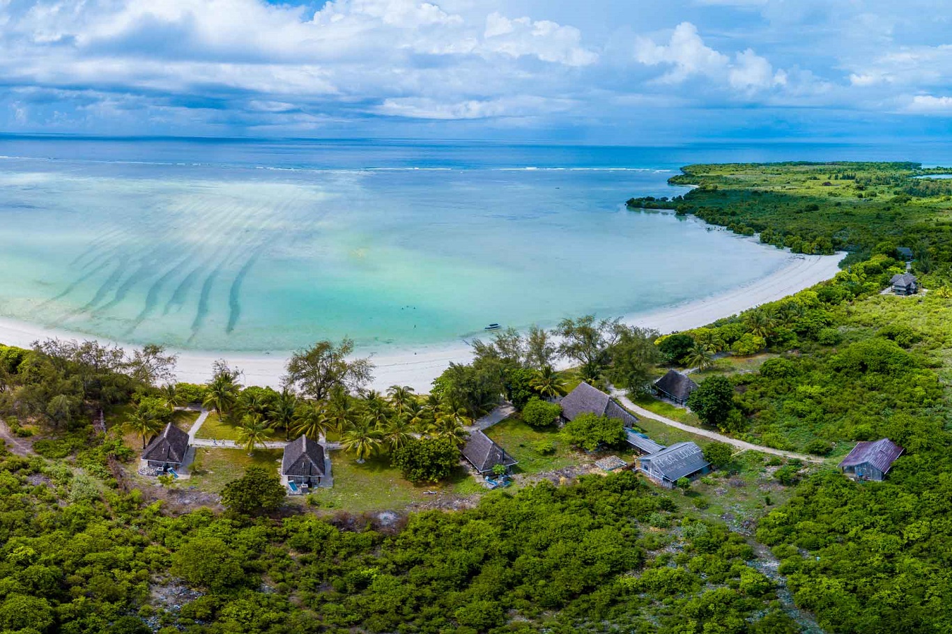SlideShow Image Number 3 all for Tanzania Safaris images.