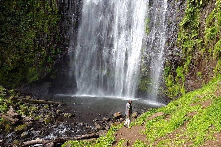 Image Slider No: 1 Materuni Waterfalls and Coffee Farm Tour in Moshi
