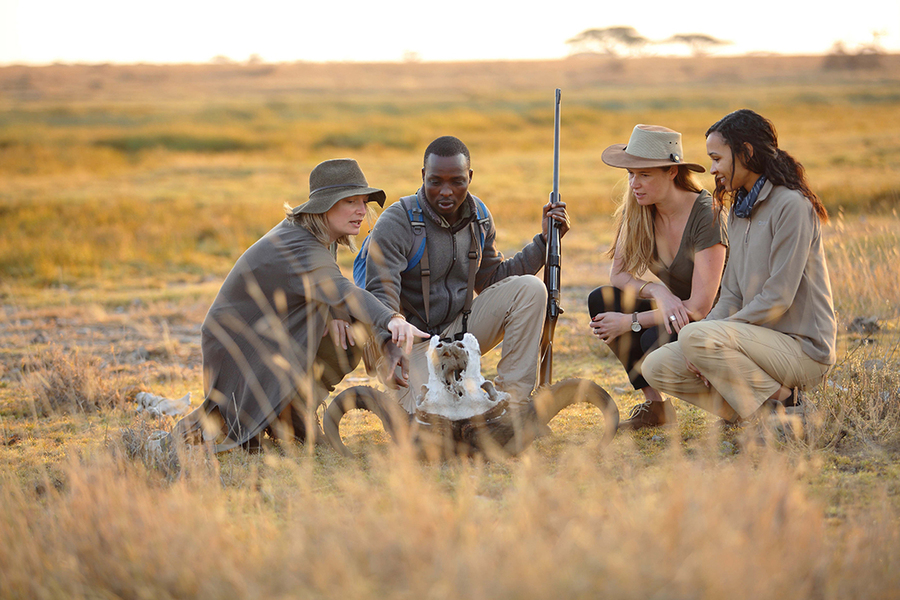 SlideShow Image number: 4 Travel Tips - Discovering the Wonders of Tanzania's Northern Circuit Safari: A Journey of Awe and Amazement