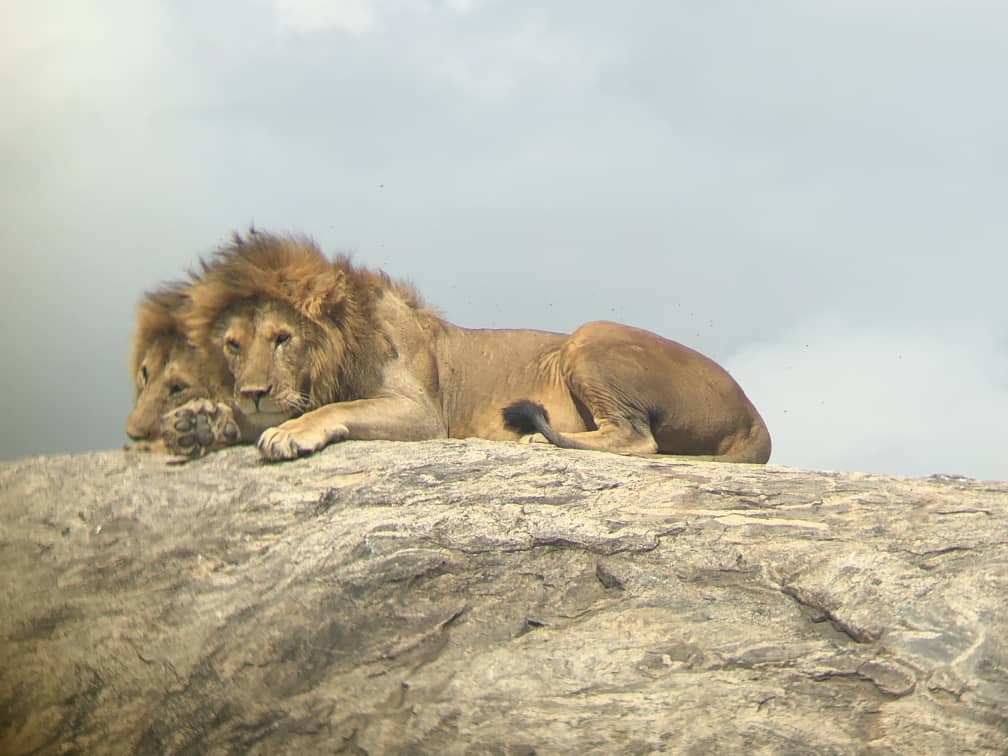 Image Slider No: 1 7 Days Kenya Adventure Safari