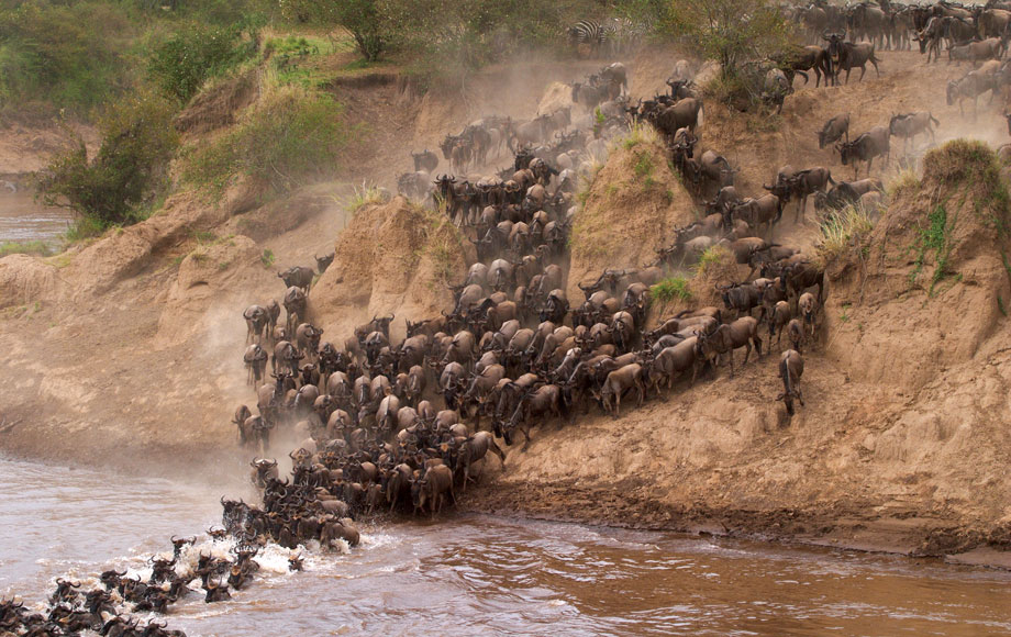 SlideShow Image number: 6 Tanzania Safari - Which Month Is Perfect for Travelling to Tanzania Safari?