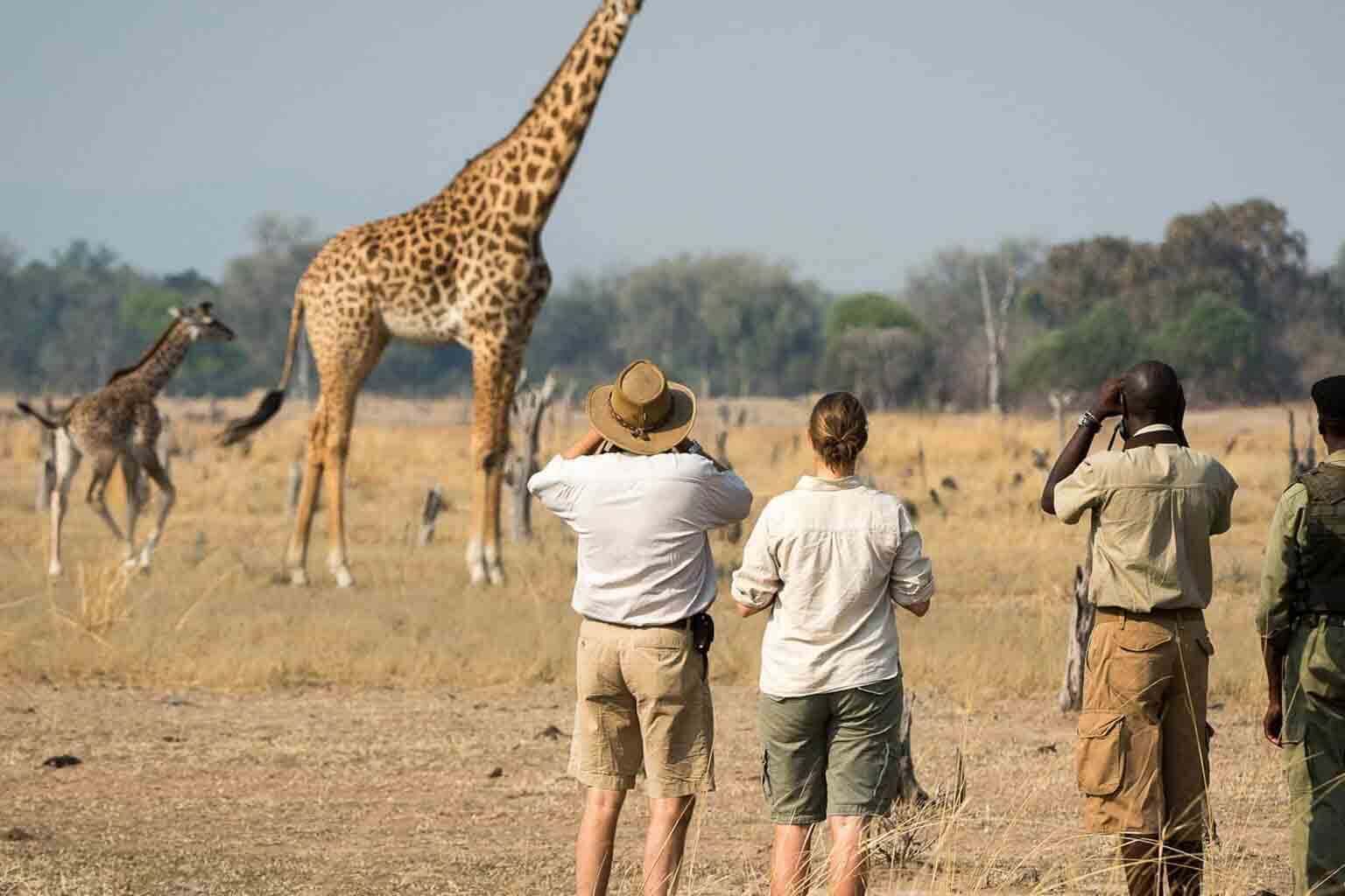 Image Slider No: 6 Kikuletwa Hot Springs Day Trip: A Hidden Oasis in Tanzania