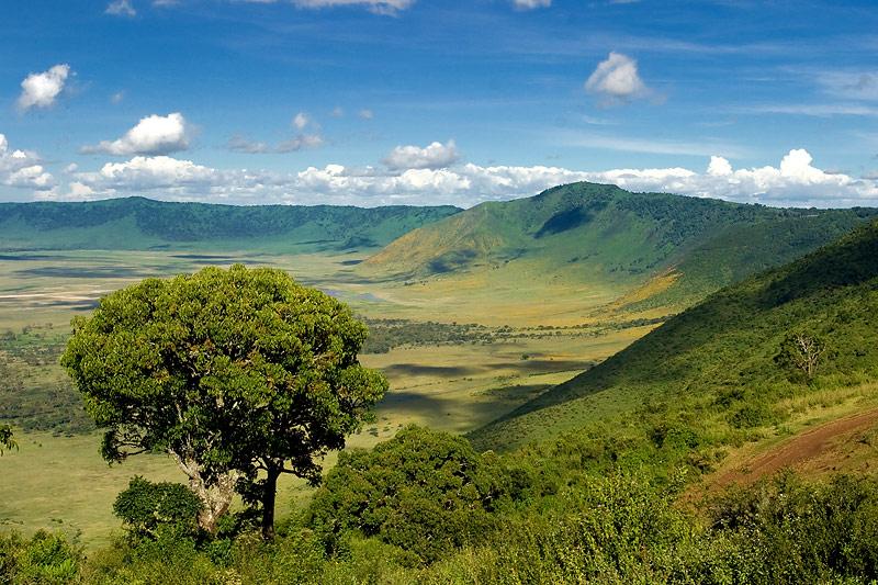Image Slider No: 2 Ngorongoro Crater Day Tour Safari