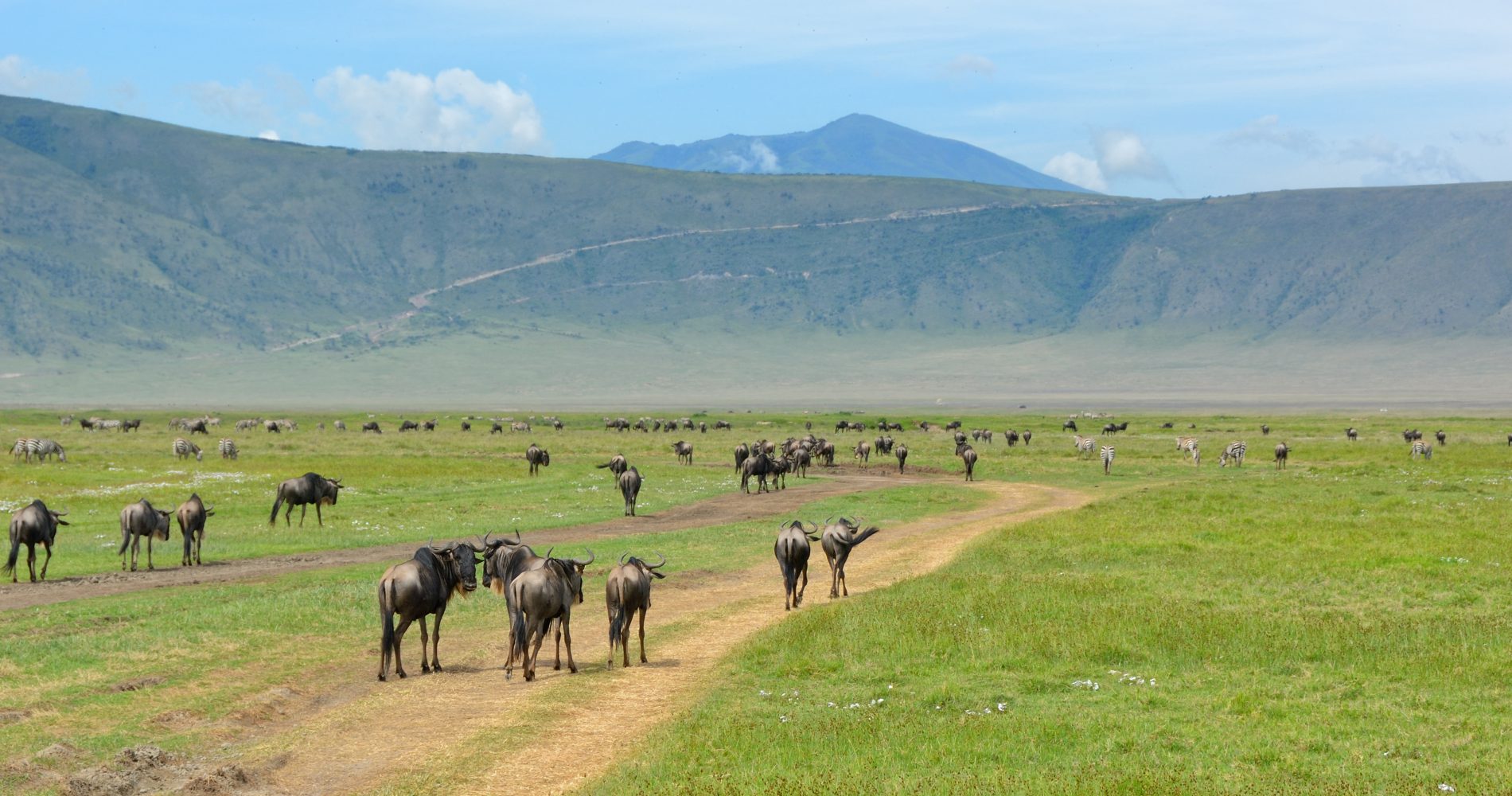 SlideShow Image number: 5 Wild Places - 10 Interesting Facts About Serengeti National Park