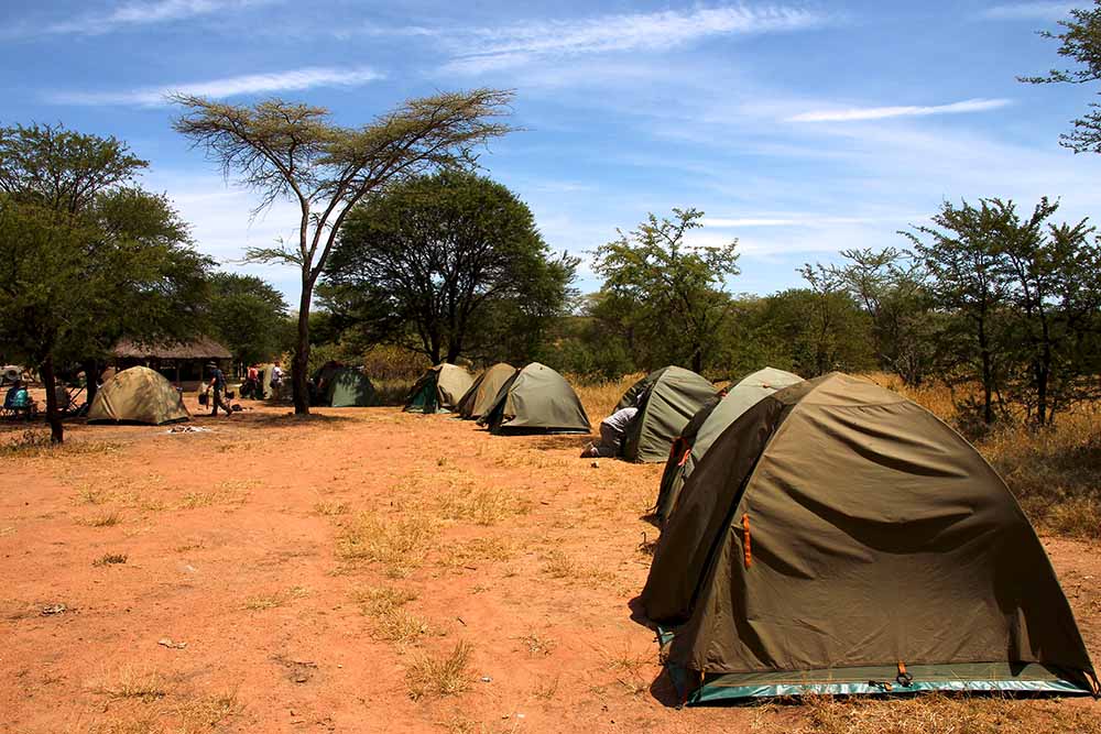 SlideShow Image number: 3 Travel Tips - Discovering the Wonders of Tanzania's Northern Circuit Safari: A Journey of Awe and Amazement