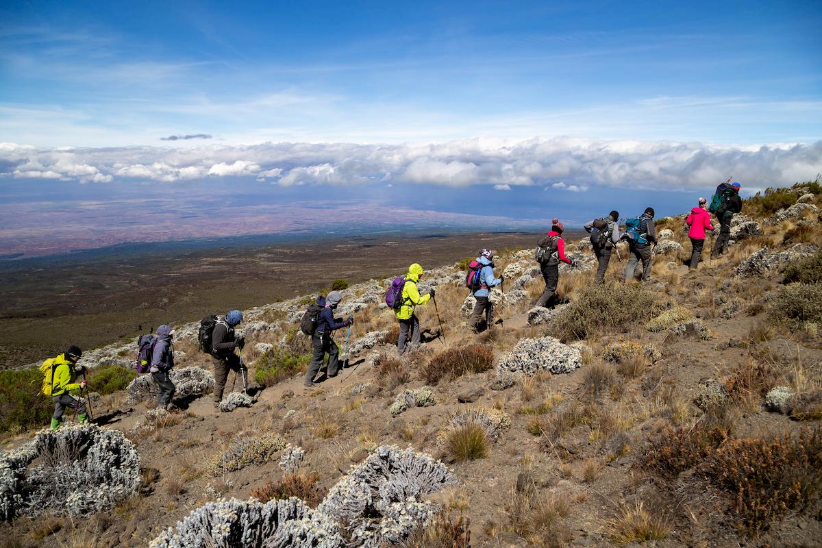 Image Slider No: 3 Kilimanjaro Routes - Which one is Best Kilimanjaro Route?