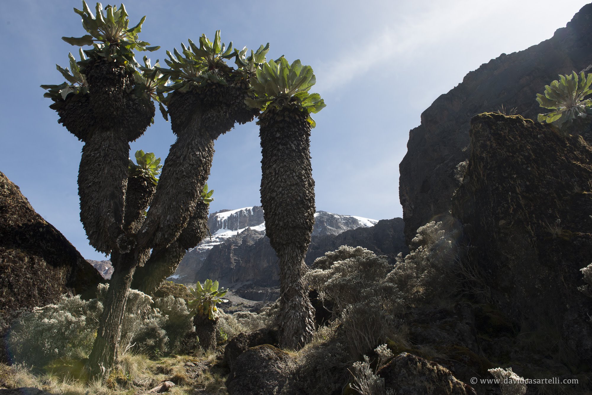 Image Slider No: 4 Mountain Climbing