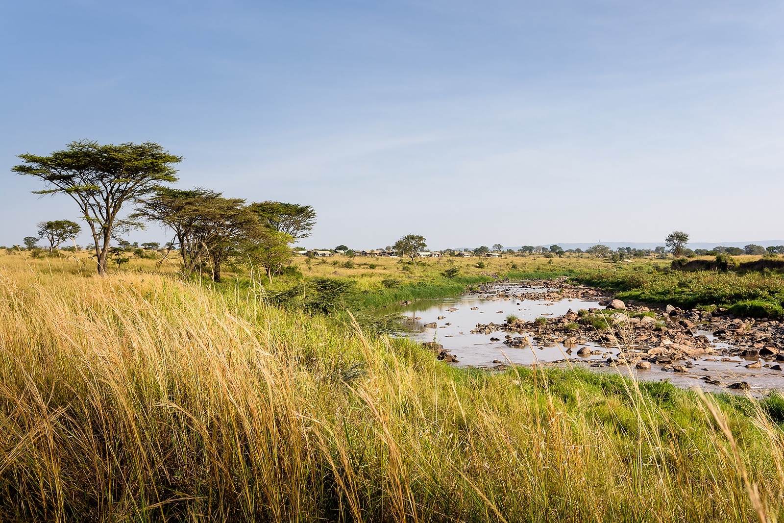 SlideShow Image number: 6 Tanzania Safari - Tanzania Safari: Your Ultimate Guide to an Unforgettable Adventure