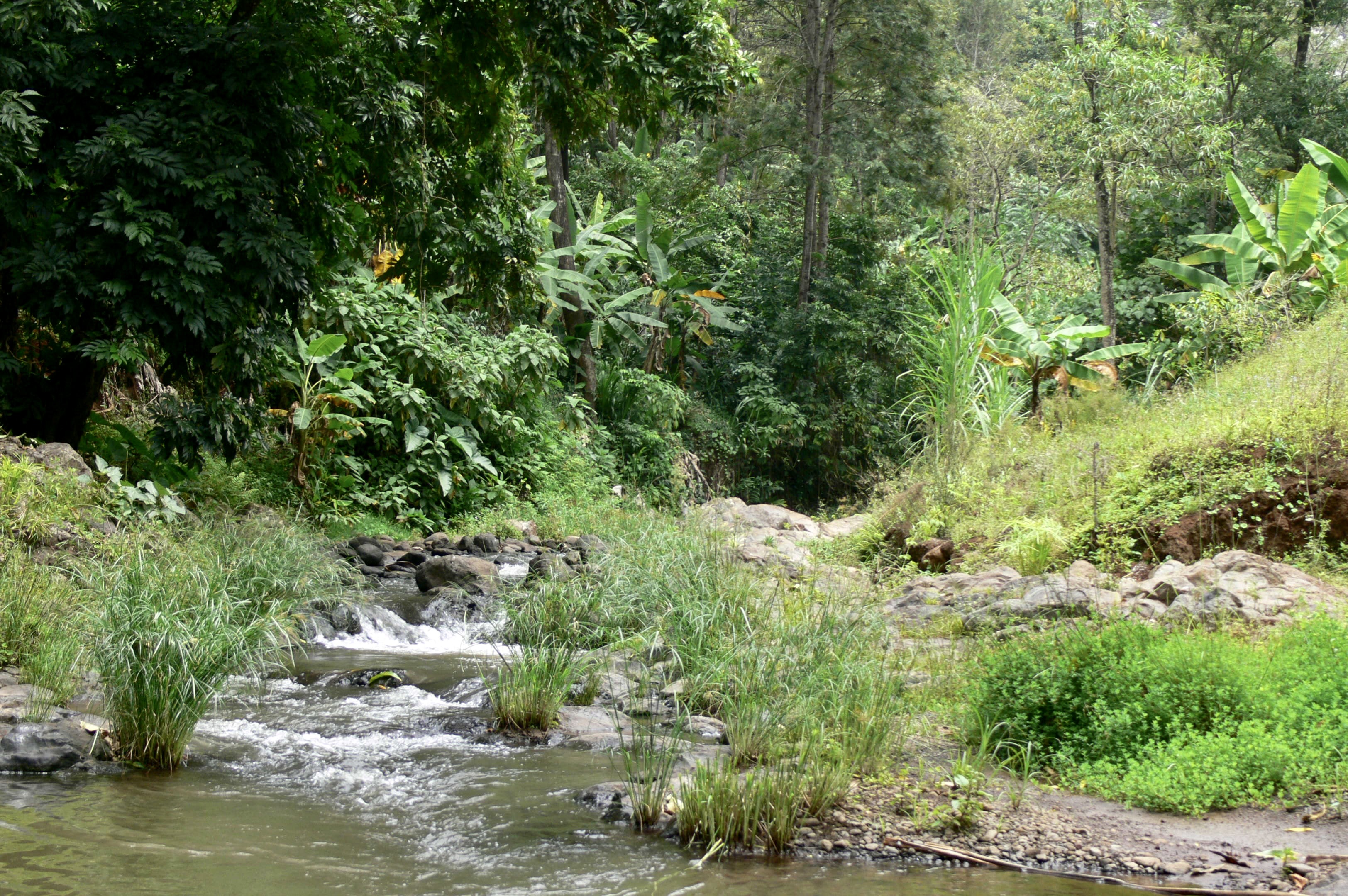Image Slider No: 3 Kikuletwa Hot Springs Day Trip: A Hidden Oasis in Tanzania