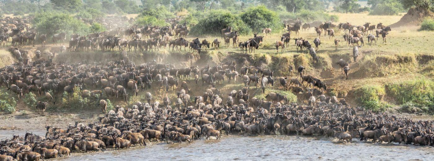 SlideShow Image number: 3 Travel Tips - Why a Guided Safari Still Beats Self-Drive: Stories From the Bush