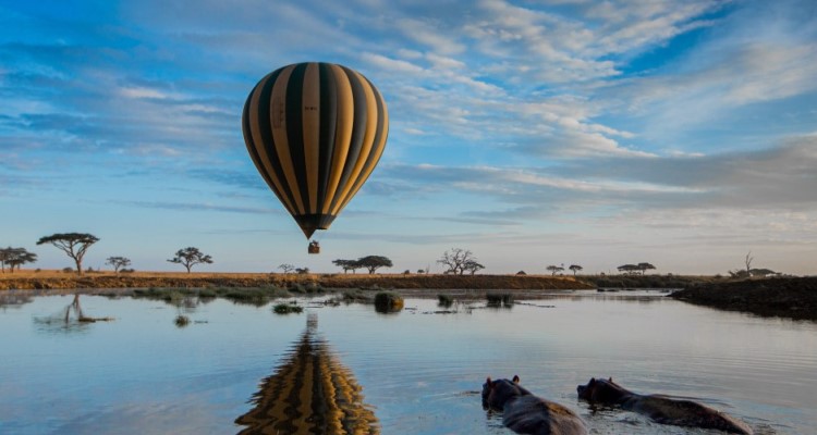 SlideShow Image number: 2 Travel Tips - Discovering the Wonders of Tanzania's Northern Circuit Safari: A Journey of Awe and Amazement