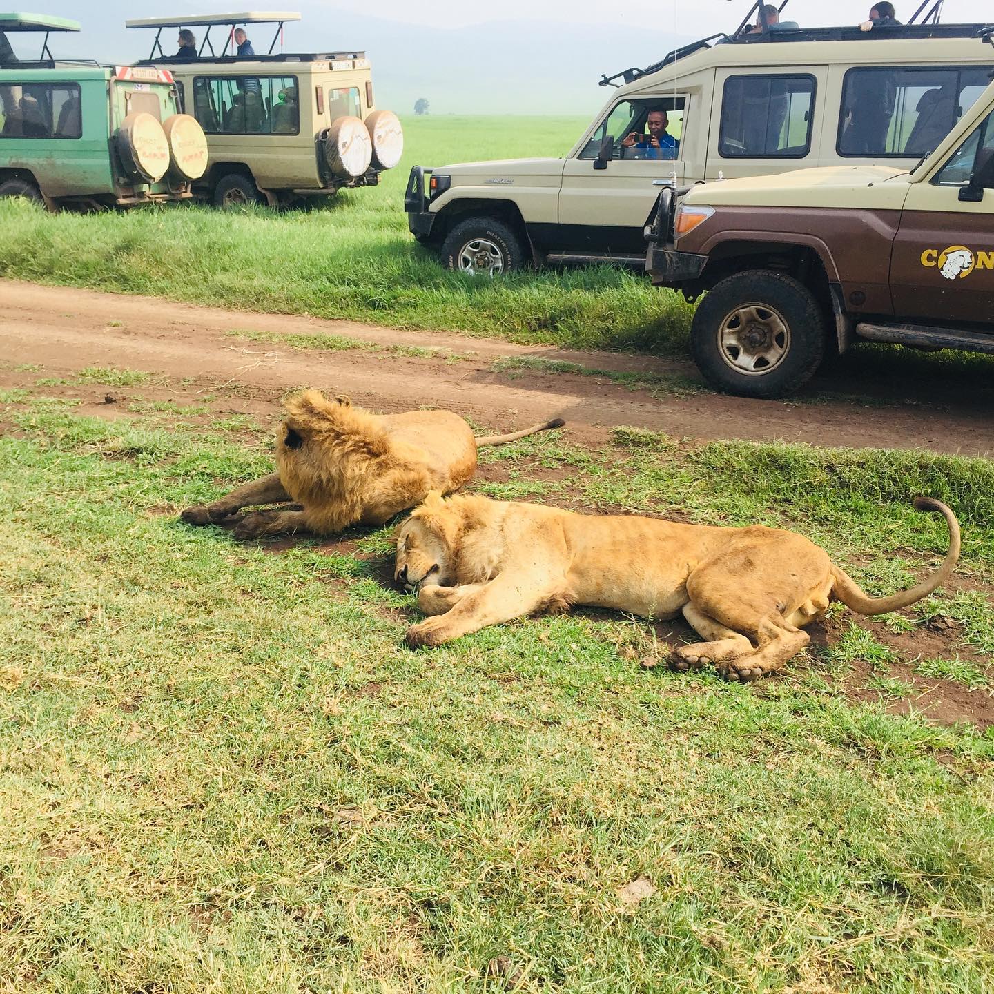 Image Slider No: 5 6-Day Budget Camping Safari in Tanzania – Tarangire, Serengeti & Ngorongoro