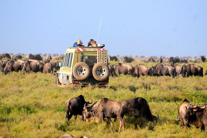 Image Slider No: 2 13 Days Full Packed Private Guided Safari Tour