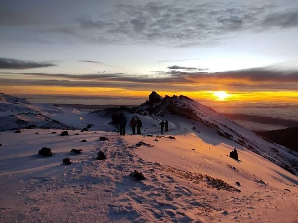 Image Slider No: 4 Kilimanjaro Tour Packages 7 Days & 5 Days Tanzania Safari