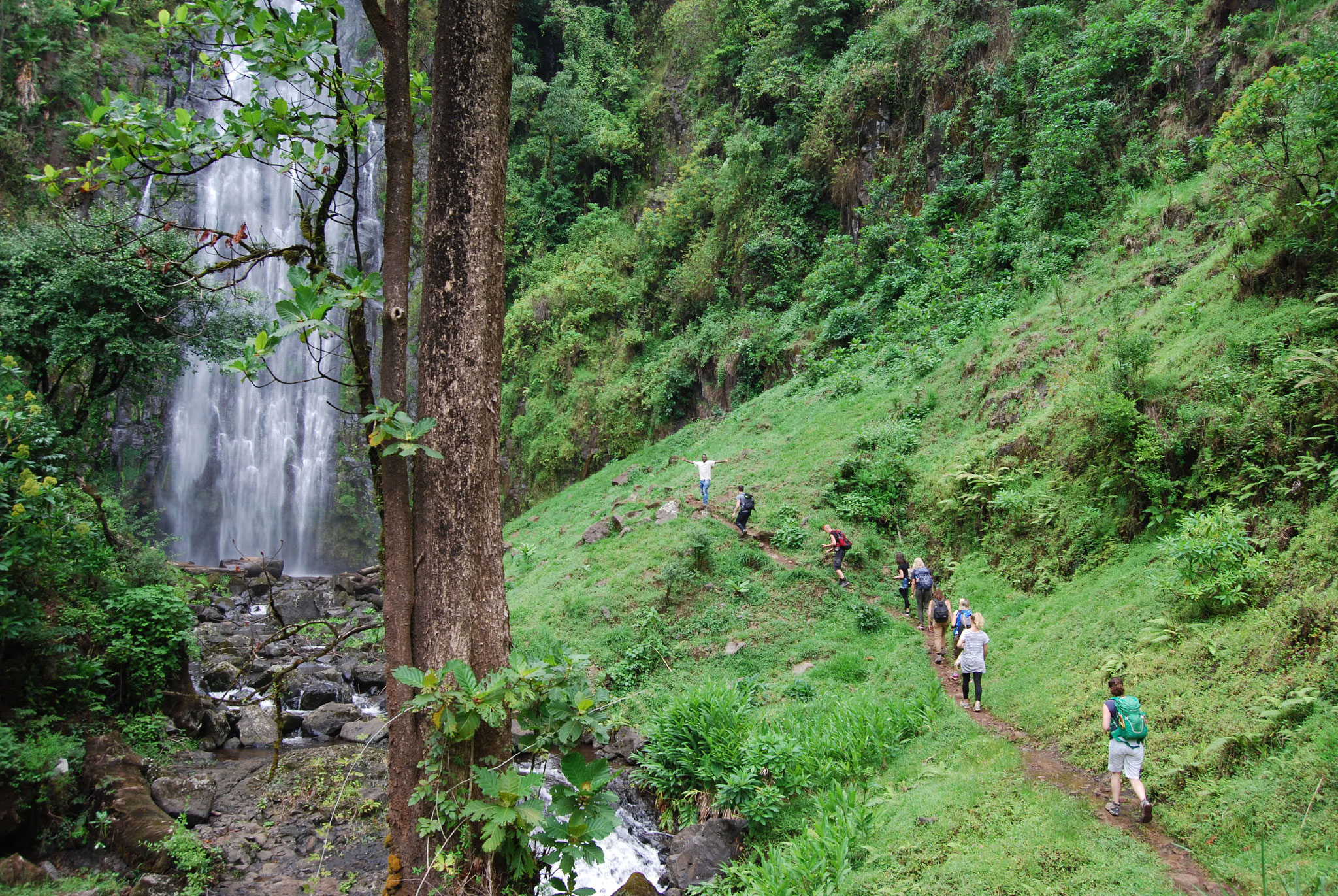 Image Slider No: 2 Materuni Waterfalls and Coffee Farm Tour in Moshi