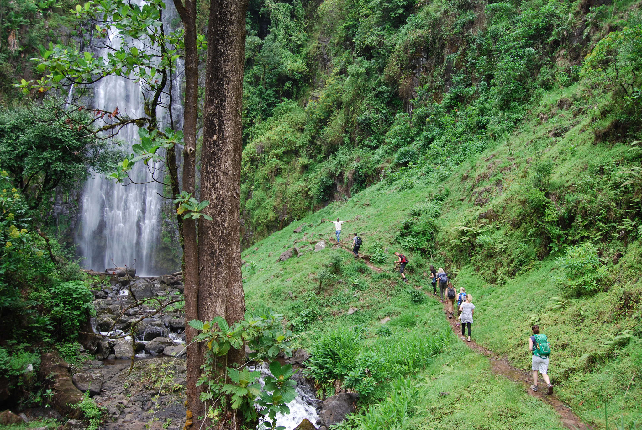 Image Slider No: 2 Walking Tour in Arusha National Park Day Trip