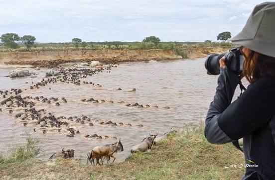SlideShow Image number: 4 Tanzania Safari - Where to See the Great Migration in September: A Complete Guide to Northern Serengeti