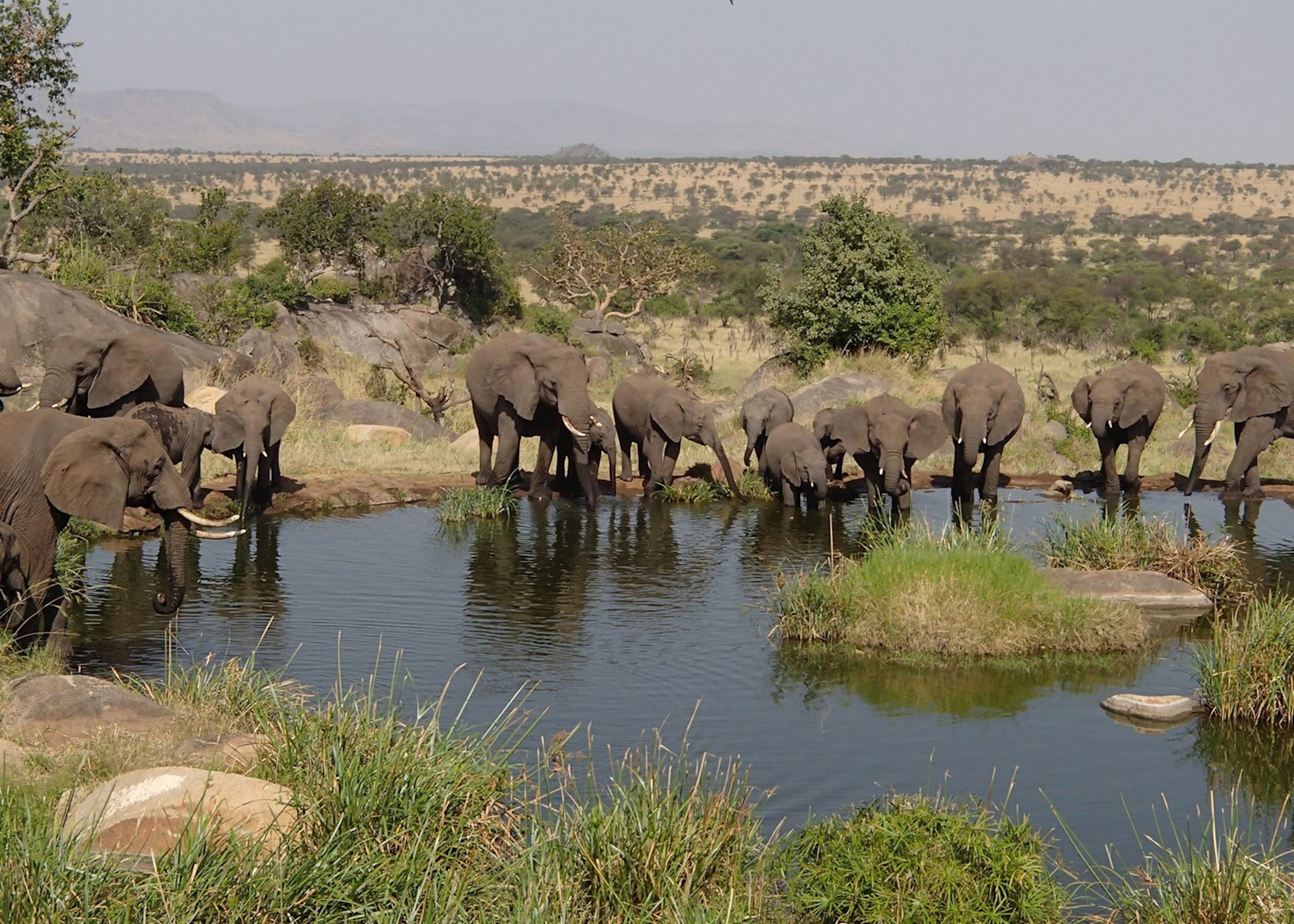 Image Slider No: 1 7 Days Kenya Adventure Safari
