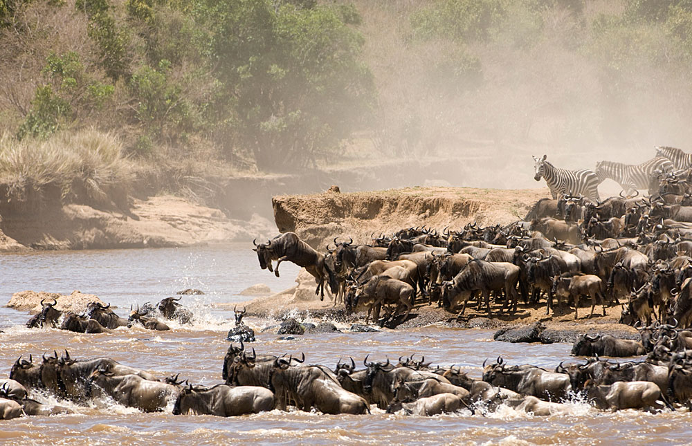 SlideShow Image number: 3 Travel Tips - Discovering the Wonders of Tanzania's Northern Circuit Safari: A Journey of Awe and Amazement