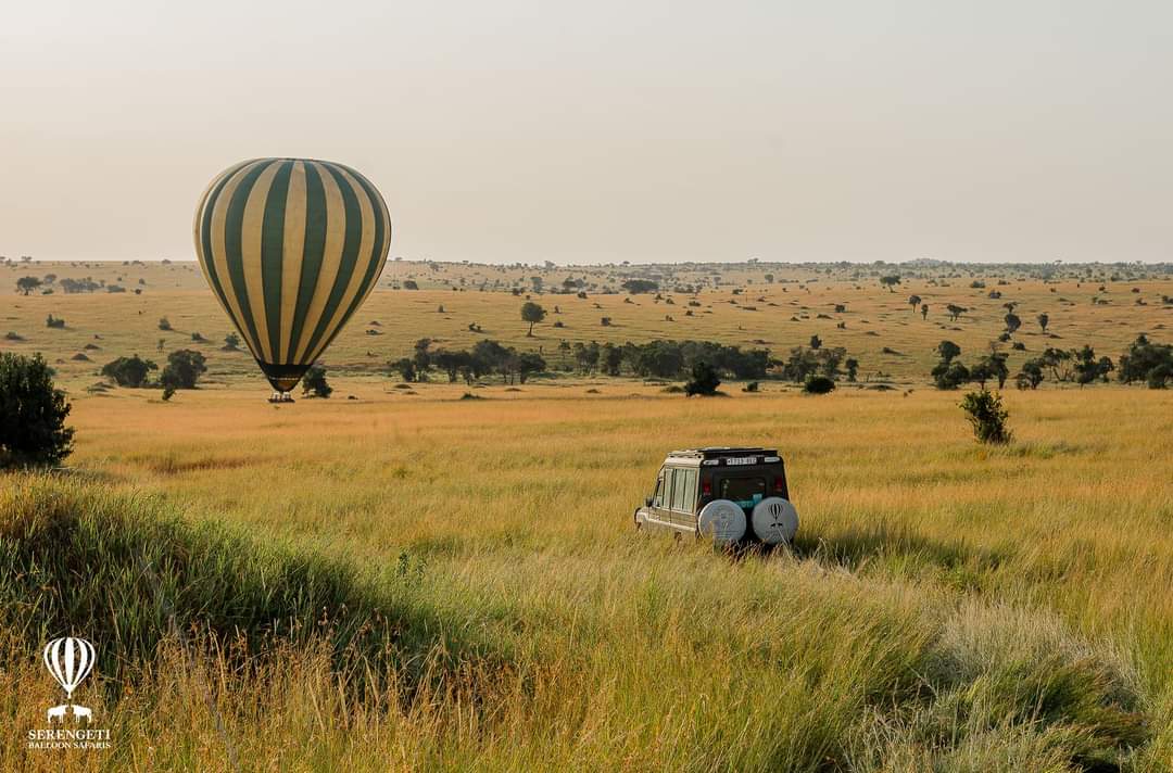 SlideShow Image number: 9 Travel Tips - Discovering the Wonders of Tanzania's Northern Circuit Safari: A Journey of Awe and Amazement