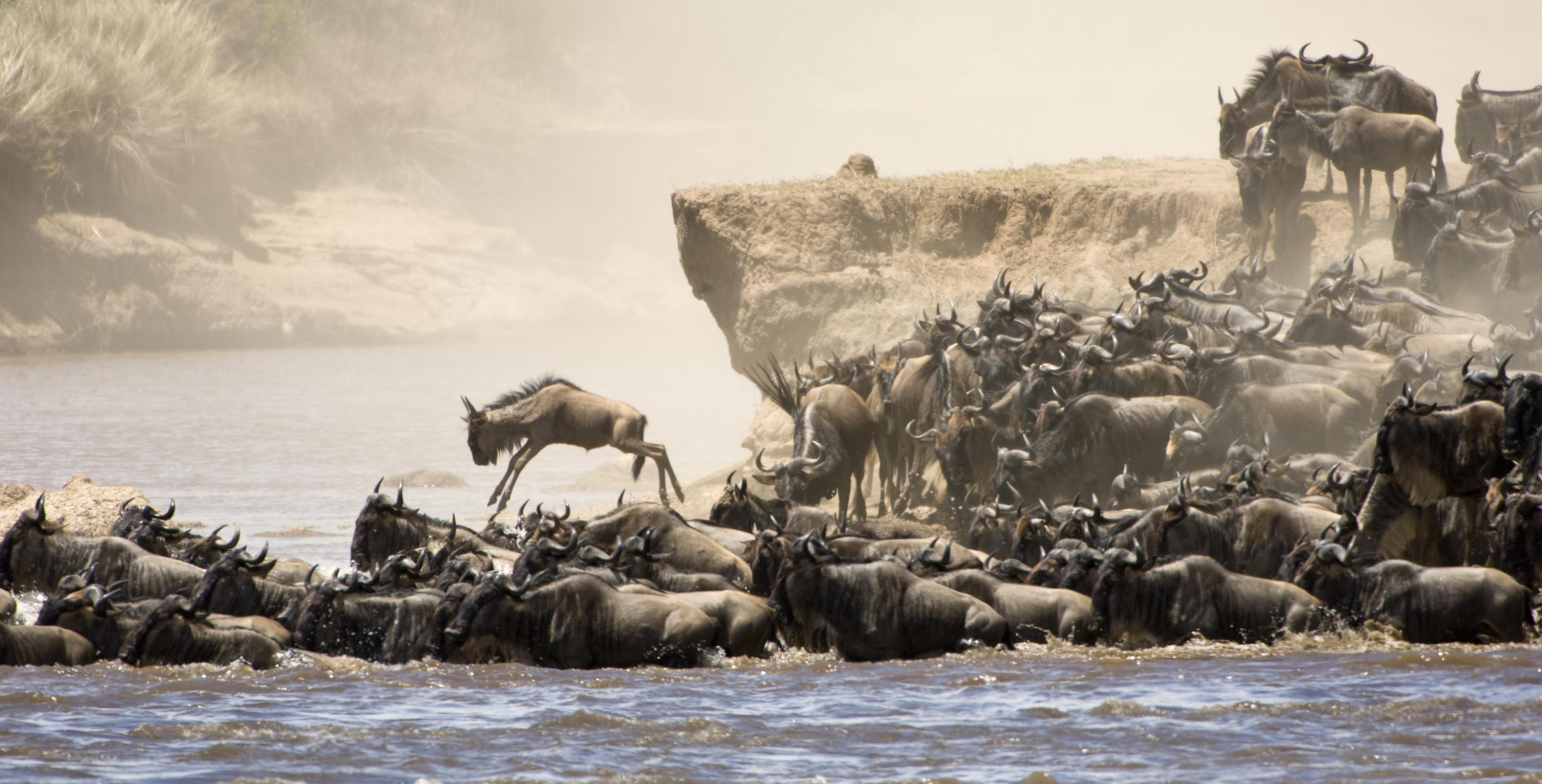 SlideShow Image number: 1 Wild Places - 10 Interesting Facts About Serengeti National Park
