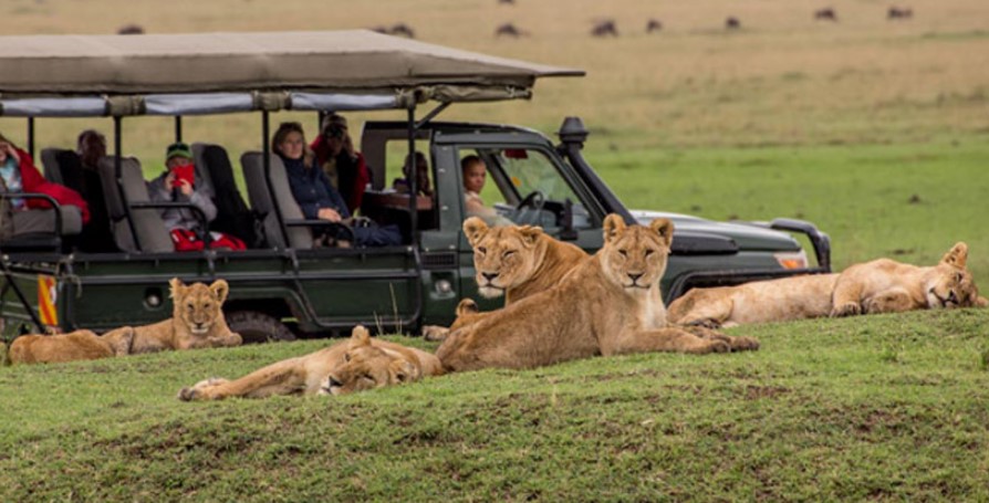 Image Slider No: 1 3 Days Tanzania Safari Adventures