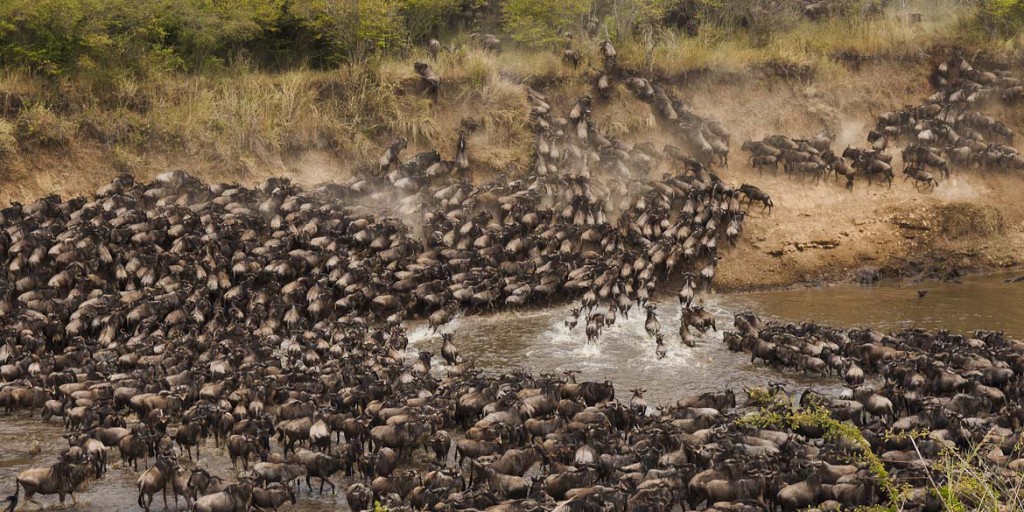 Image Slider No: 4 Serengeti Wildebeest Migration