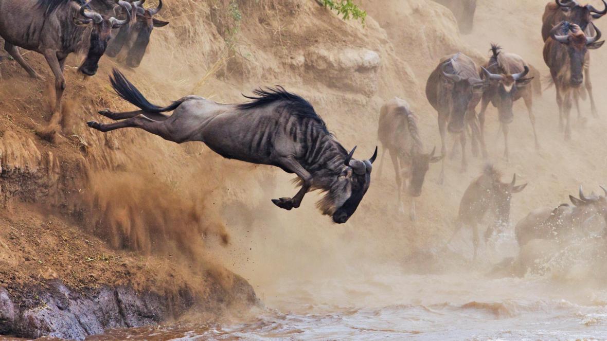 Image Slider No: 5 6 Days Wildebeest Migration Safari