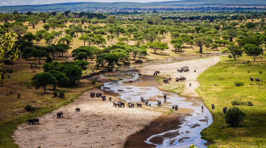 Image Slider No: 7 5-Day Luxury Fly-In Tanzania Safari – Serengeti & Ngorongoro Crater