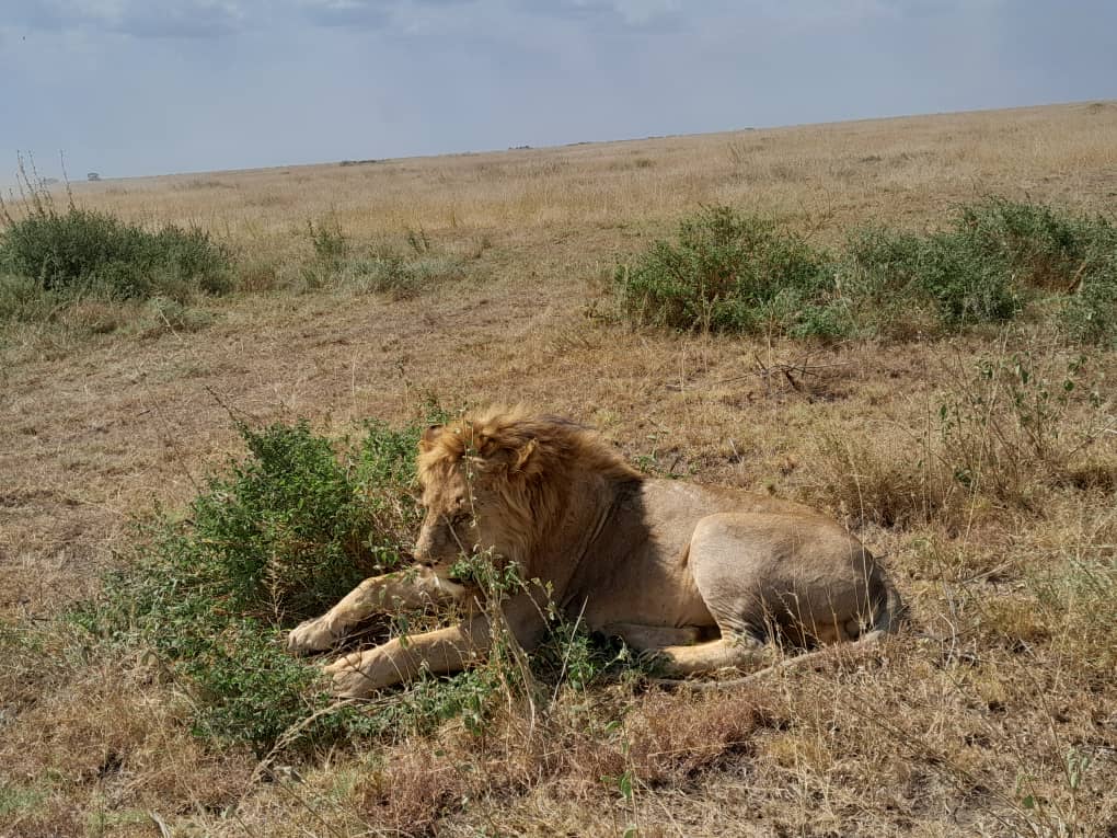 Image Slider No: 3 7 Days Kenya Adventure Safari