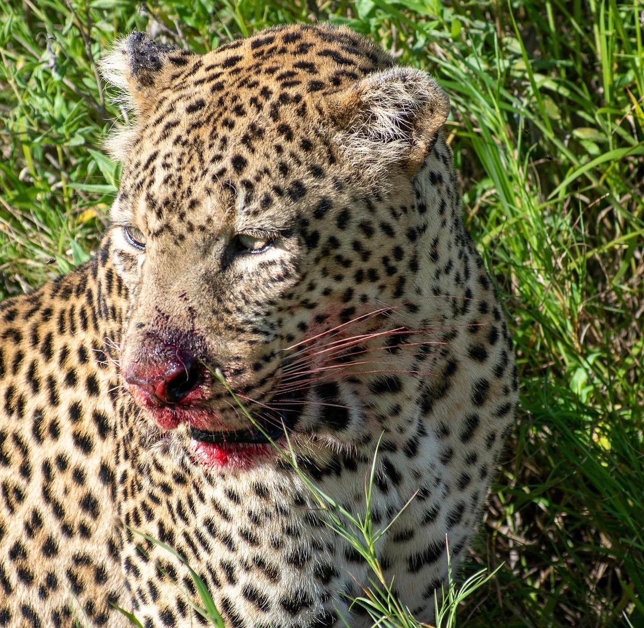 Image Slider No: 5 7 Day The Royal Serengeti Escape
