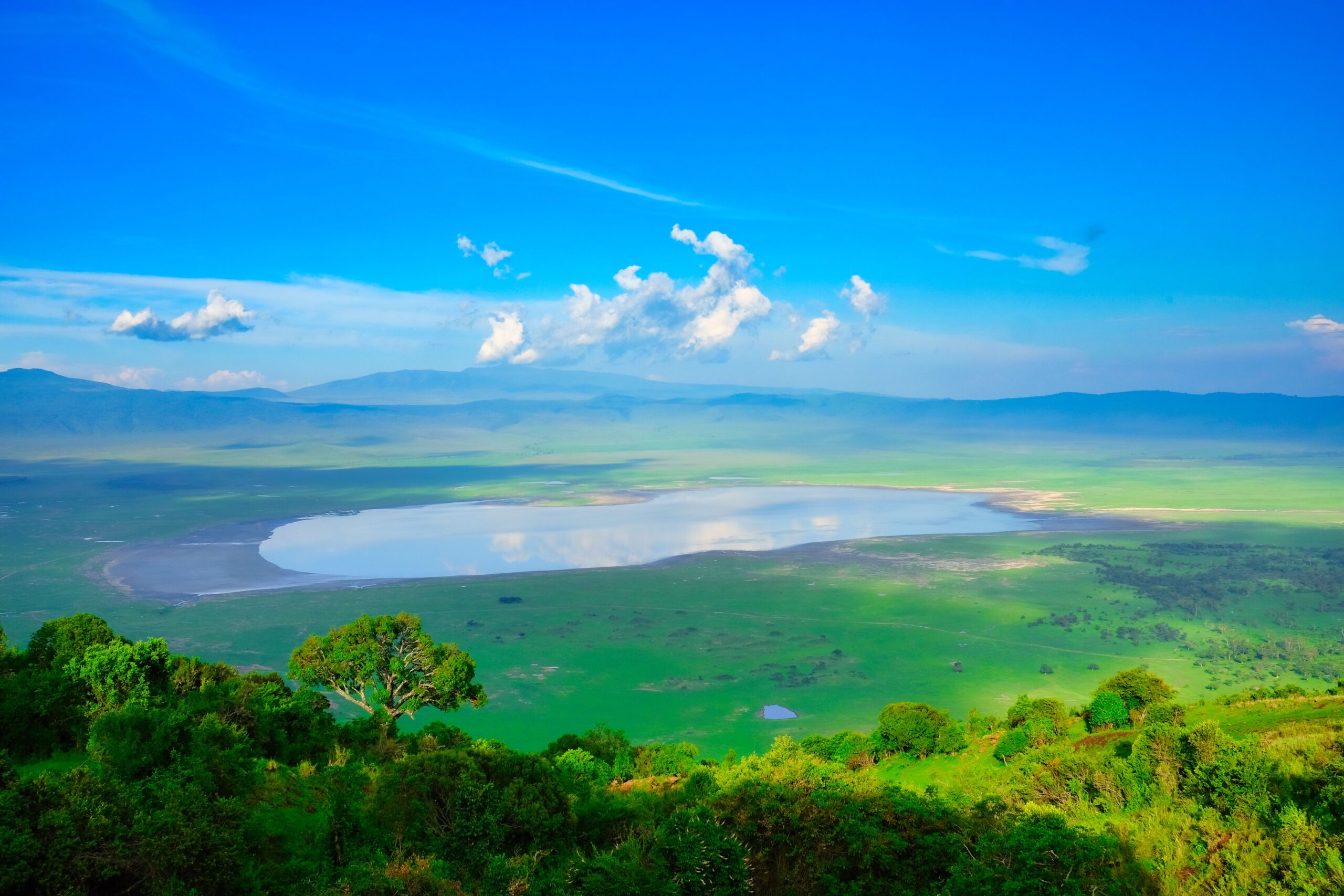 Ngorongoro Crater Day Trip