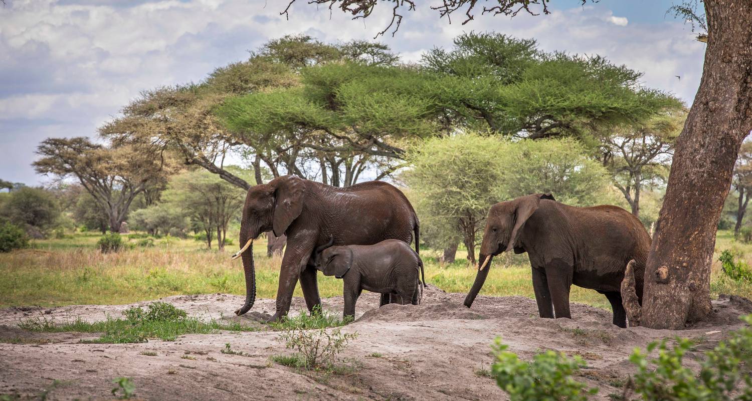 Image Slider No: 3 7 Days Kenya Adventure Safari