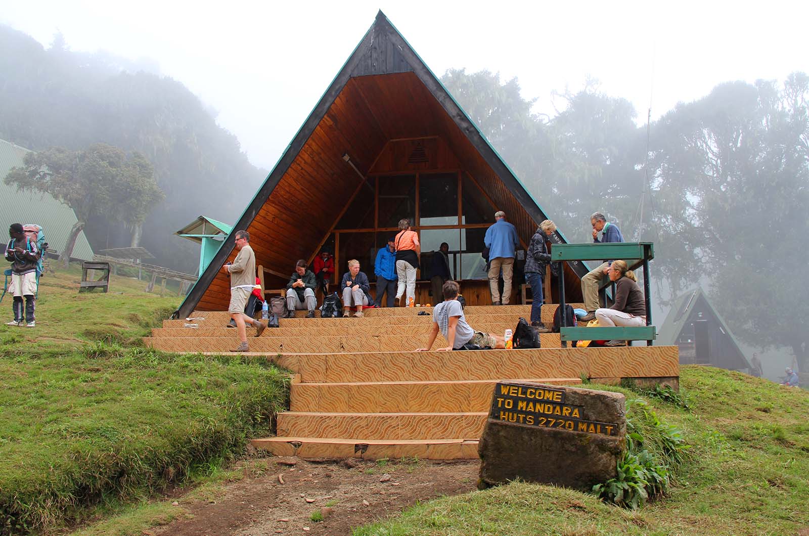 Kilimanjaro Day Trip
