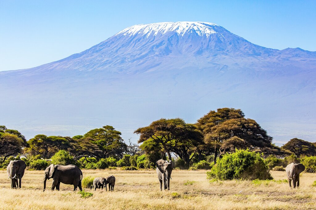 SlideShow Image number: 5 Kilimanjaro  - The Ultimate Adventure - Climbing Kilimanjaro and Safari in Tanzania