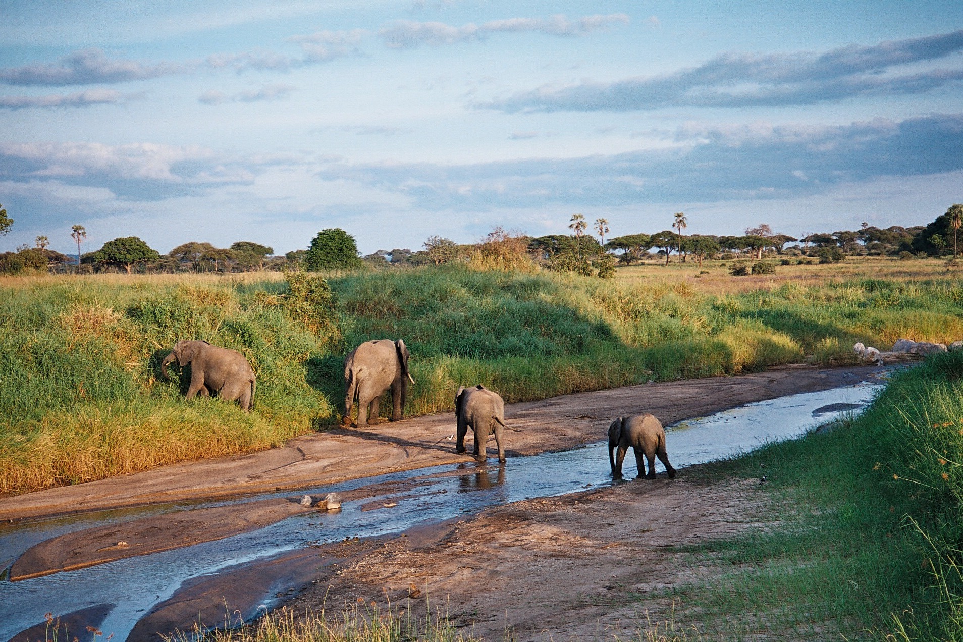Image Slider No: 1 Walking Tour in Arusha National Park Day Trip